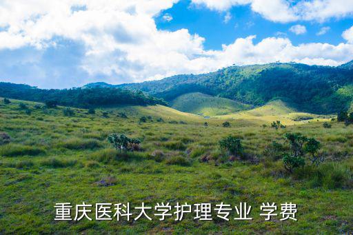 重庆护考报名费是多少钱，2016年执业护士资格证考试报名费收费标准多少钱
