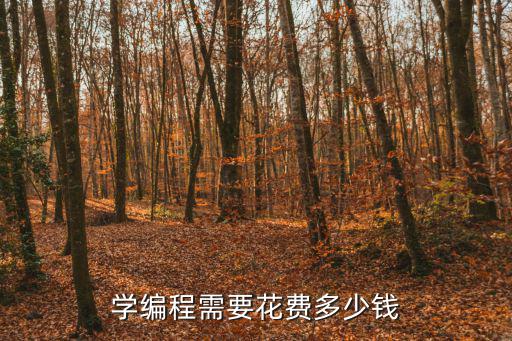 孩子学编程需要多少钱一个月，学编程专业的 出来了有多少钱一个月啊