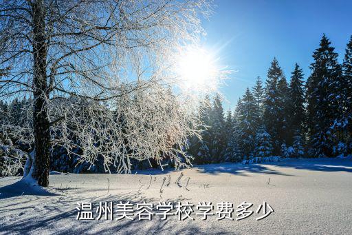 温州美容学校学费多少