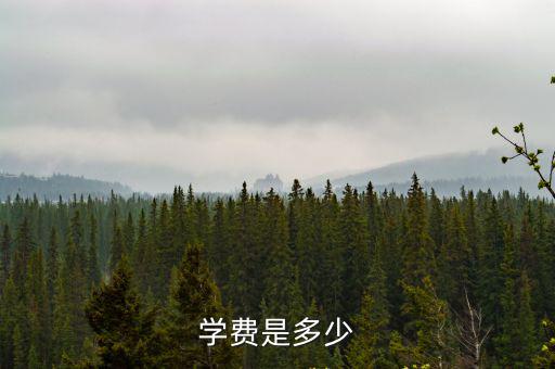 学费是多少