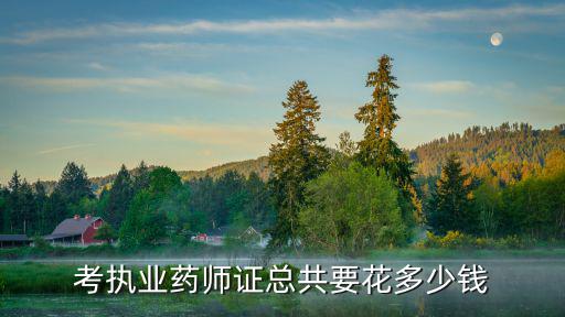考执业药师证总共要花多少钱