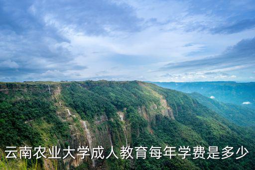 云南农业大学成人教育每年学费是多少