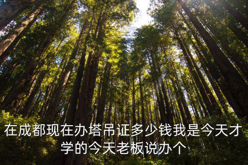 在成都现在办塔吊证多少钱我是今天才学的今天老板说办个