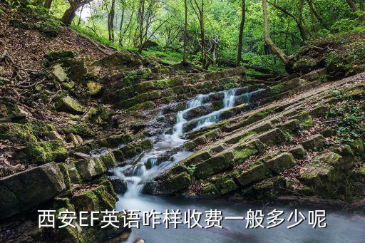 西安英孚英语多少钱，谁知道英孚英语教育的费用是多少