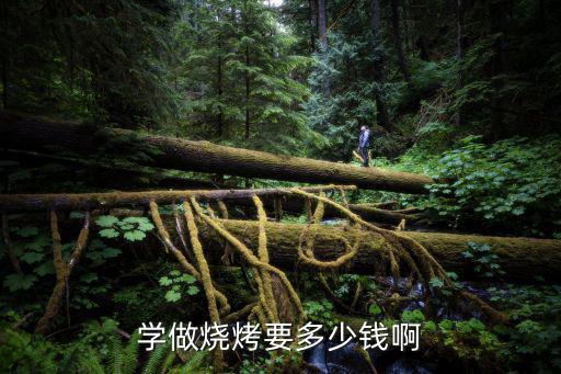学做烧烤要多少钱啊