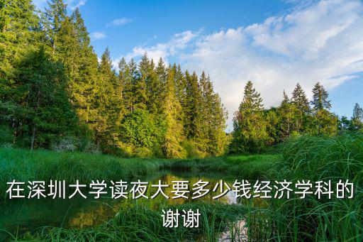 在深圳大学读夜大要多少钱经济学科的谢谢