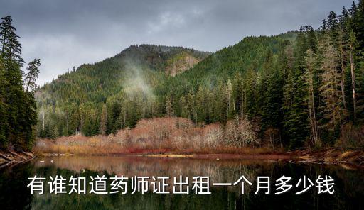 执业药师多少钱一个月，药士挂个证一个月给多少钱啊