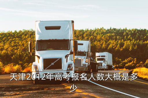天津2012年高考报名人数大概是多少