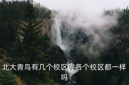 北大青鸟有几个校区呢各个校区都一样吗