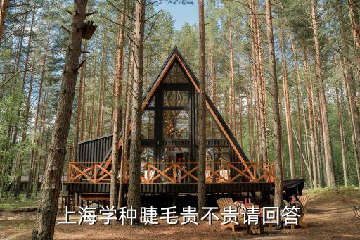 上海学种睫毛贵不贵请回答