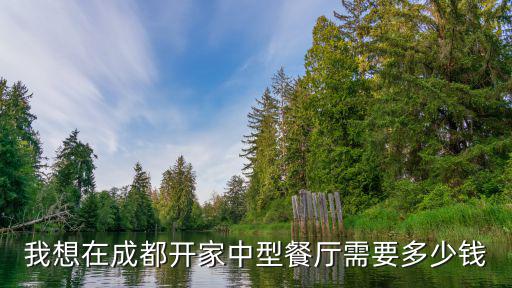 我想在成都开家中型餐厅需要多少钱