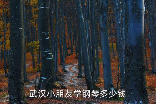 武汉小朋友学钢琴多少钱