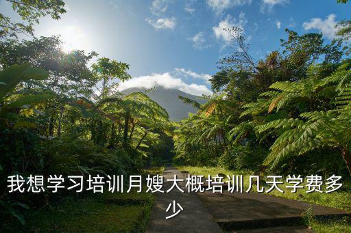 初级月嫂培训的学费是多少钱一个月，我想学习培训月嫂大概培训几天学费多少