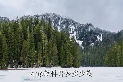 请软件工程师做软件多少钱，现在在上海软件工程师多少钱一个月