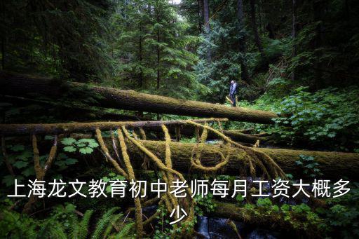 上海龙文教育现有多少学生，上海龙文教育初中老师每月工资大概多少