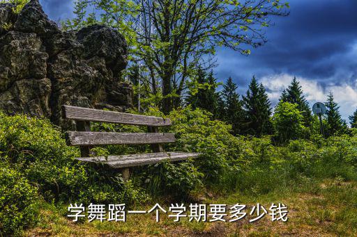 学形体舞蹈要多少钱，学舞蹈一个学期要多少钱