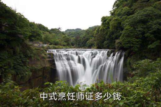 考中式烹调技师要交多少钱，考中级烹饪技师得多少钱