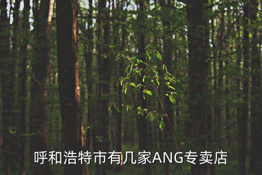 呼和浩特市有几家ANG专卖店
