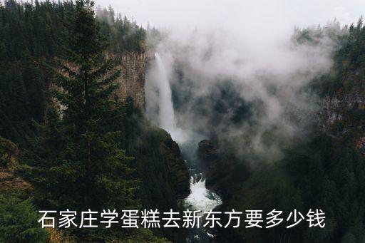 石家庄学蛋糕去新东方要多少钱