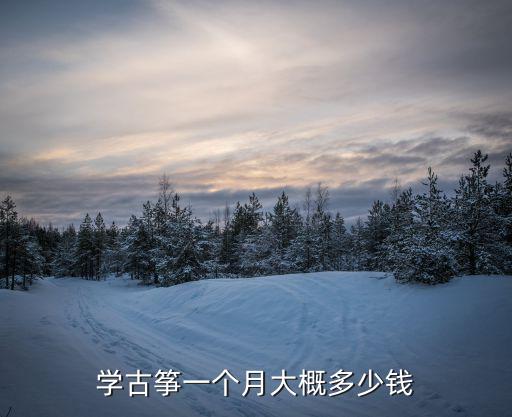 学古筝一个月大概多少钱