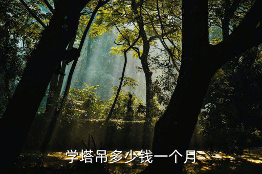 学塔吊多少钱一个月