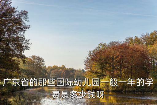 广东省的那些国际幼儿园一般一年的学费是多少钱呀