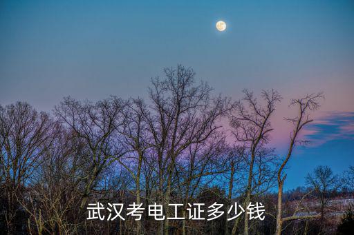 武汉考电工证多少钱