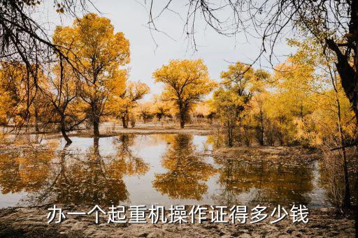 办一个起重机操作证得多少钱