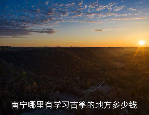 南宁哪里有学习古筝的地方多少钱