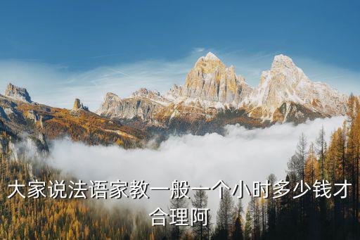 大家说法语家教一般一个小时多少钱才合理阿