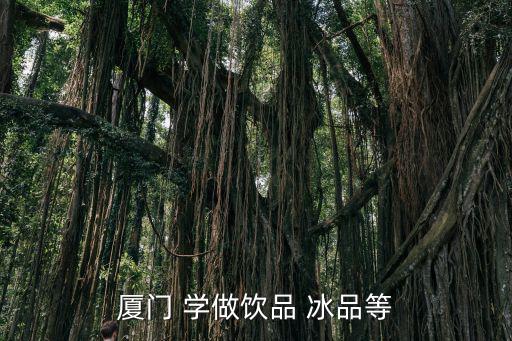 厦门 学做饮品 冰品等