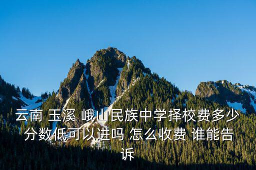 峨山职中要多少分，峨山职中录取分