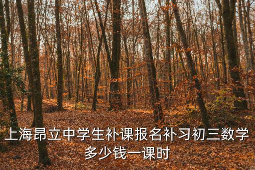 上海昂立中学生补课报名补习初三数学多少钱一课时