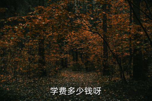 柴火鸡学费多少，报名学费多少