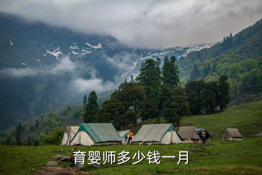 安阳育婴师一个月多少钱，怀孕一个月怎么打胎需要多少钱安阳的