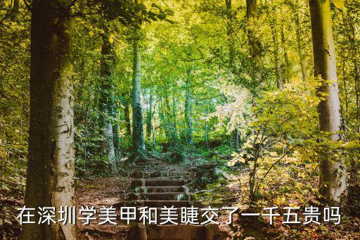在深圳学美甲和美睫交了一千五贵吗