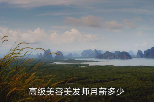 高级美容美发师月薪多少