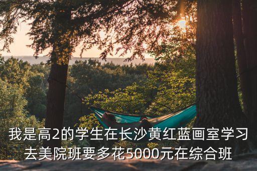 我是高2的学生在长沙黄红蓝画室学习去美院班要多花5000元在综合班