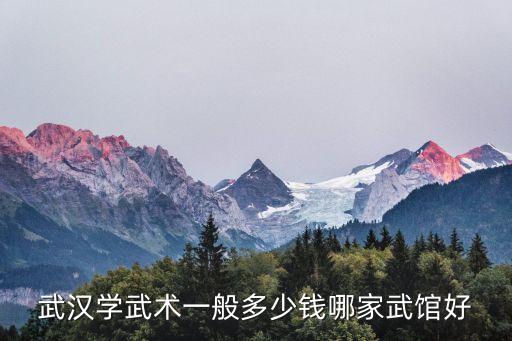 武汉学武术一般多少钱哪家武馆好