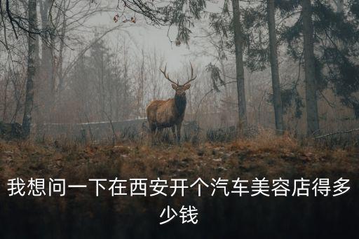 我想问一下在西安开个汽车美容店得多少钱