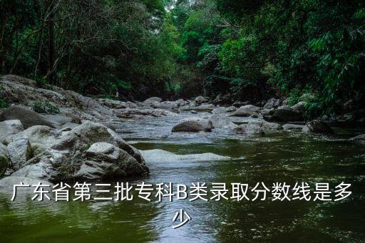 2015广东高考专b多少分，专B多少分
