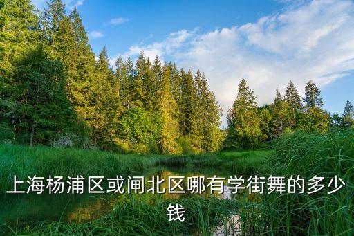 上海杨浦区或闸北区哪有学街舞的多少钱