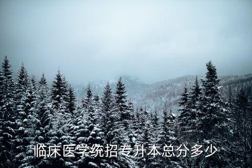 临床医学统招专升本总分多少