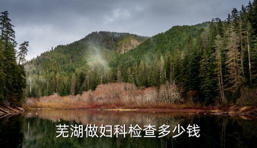 芜湖爵士舞一般多少钱，芜湖动感健身会所