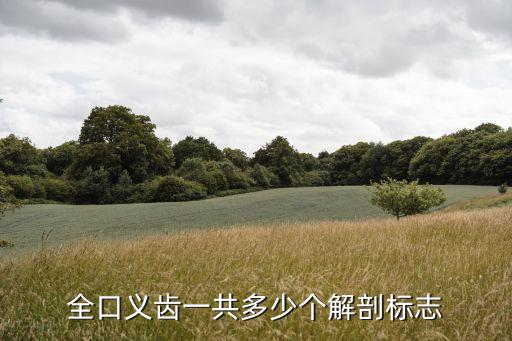 全口义齿一共多少个解剖标志