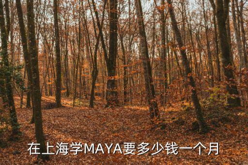在上海学MAYA要多少钱一个月