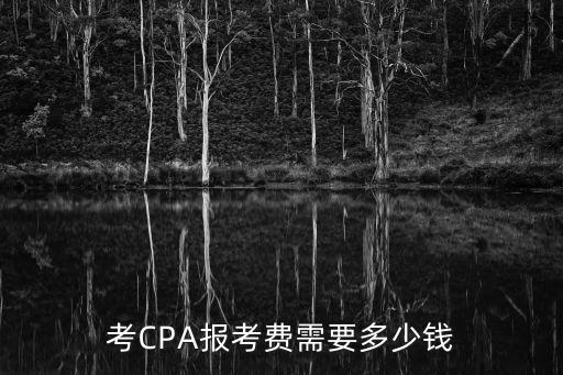 考CPA报考费需要多少钱