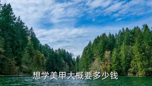 想学美甲大概要多少钱