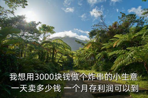 我想用3000块钱做个炸串的小生意 一天卖多少钱 一个月存利润可以到