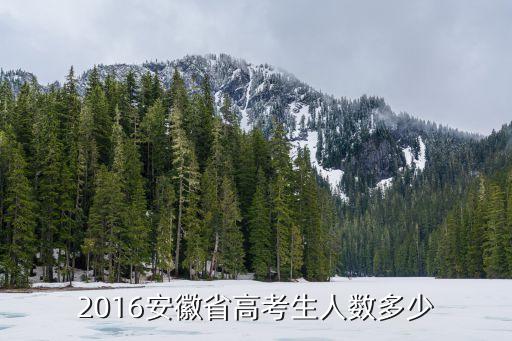 2016安徽省高考生人数多少